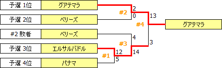 CAG2013.PNG