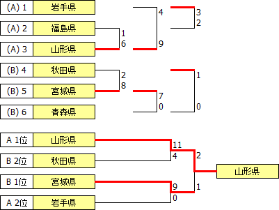 kokutai2013tohoku.PNG